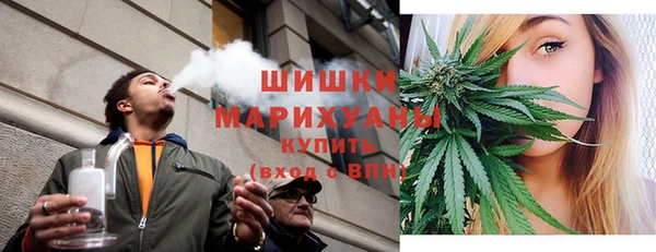 МДПВ Протвино